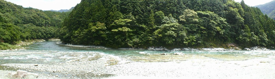 �i��̔q�`������j