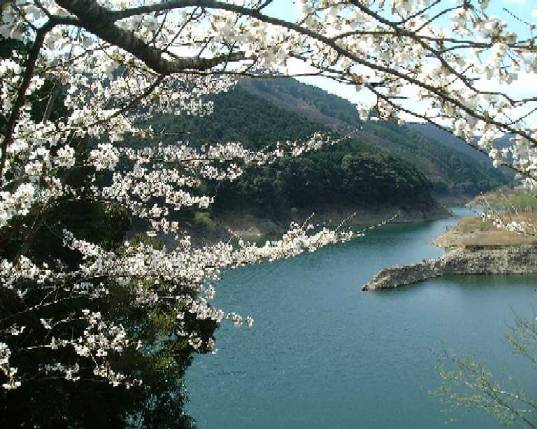 ����_���ƍ��Q