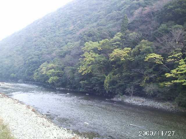 �ӏH�̏���