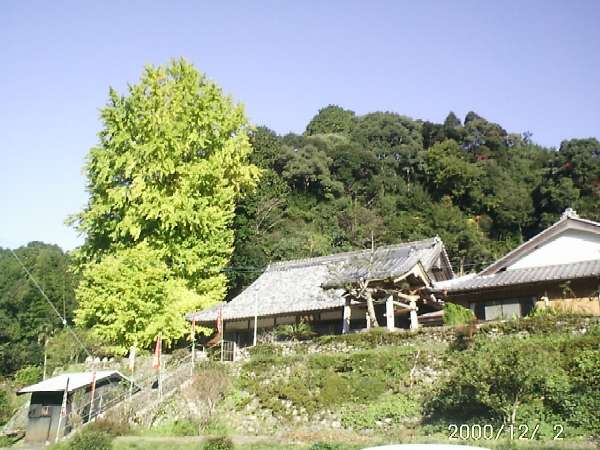 ���򎛂̑���(12/2)