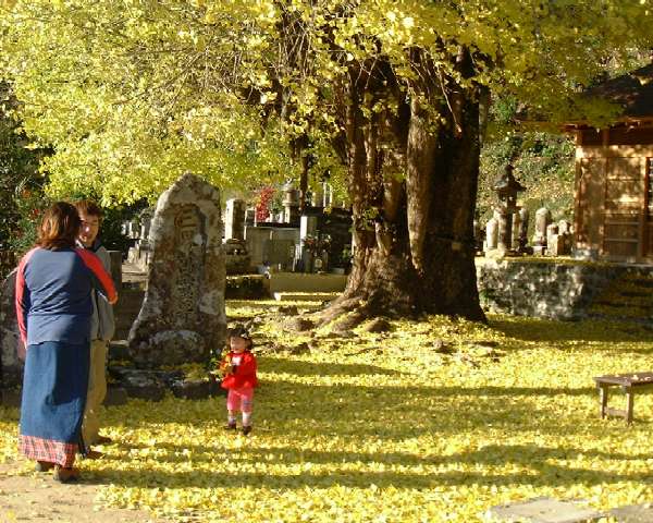 ���򎛂̑���(12/11)