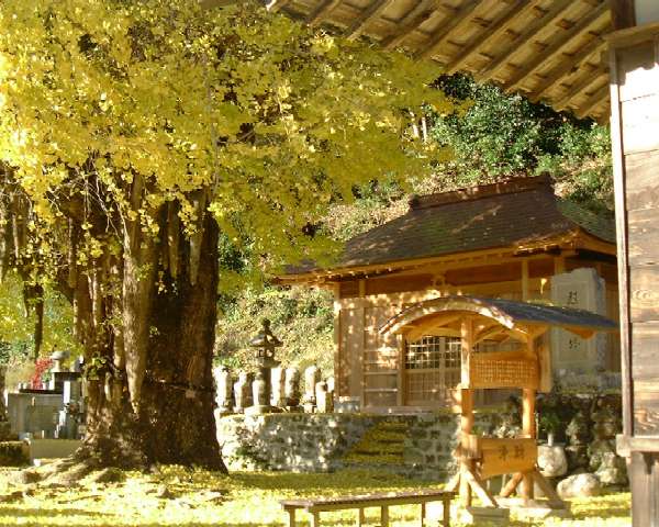 ���򎛂̑���(12/11)