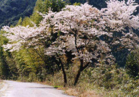 �t������